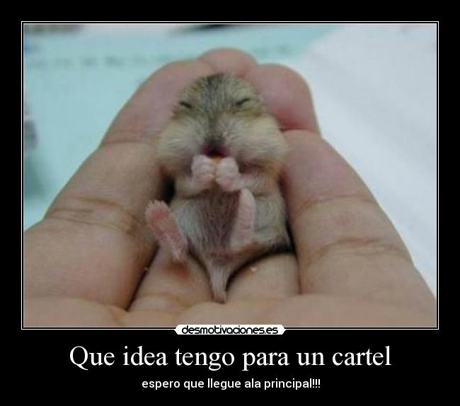 Que idea tengo para un cartel - espero que llegue ala principal!!!