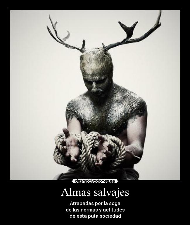 Almas salvajes -