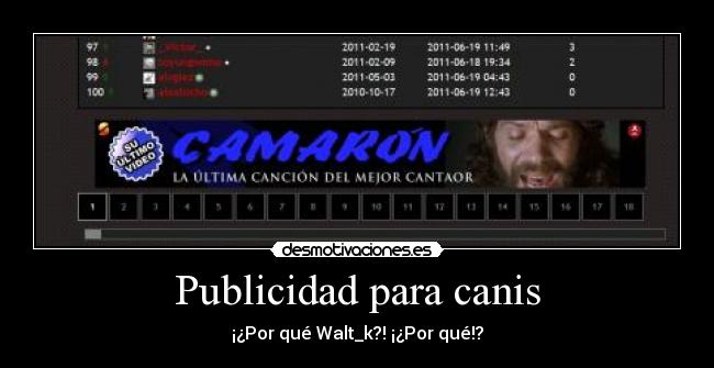 Publicidad para canis - ¡¿Por qué Walt_k?! ¡¿Por qué!?