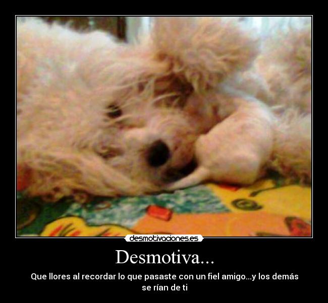 Desmotiva... - 