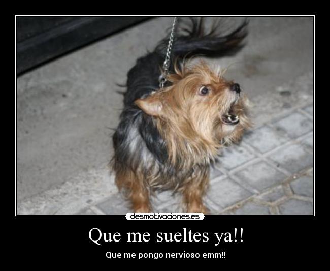 Que me sueltes ya!! - 