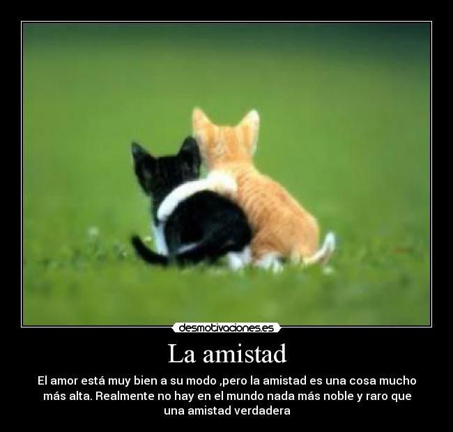 carteles amistad amigos alegria desverguenza friends love desmotivaciones