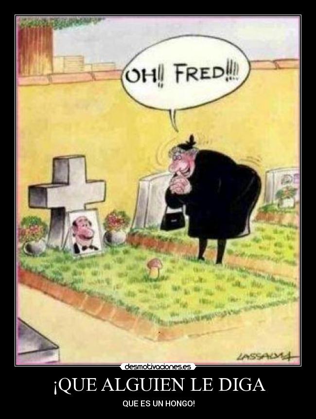 ¡QUE ALGUIEN LE DIGA - 
