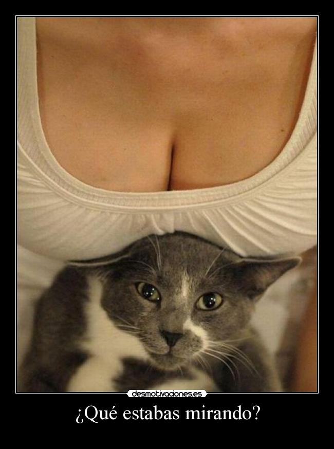 ¿Qué estabas mirando? -