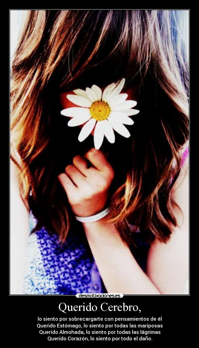 carteles querido cerebro sobrecargar pensamientos estomago mariposas almohada lagrimas corazon desmotivaciones