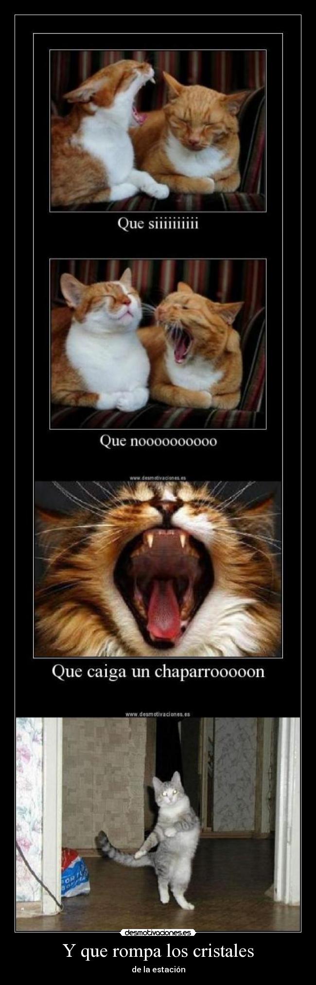 Y que rompa los cristales - de la estación