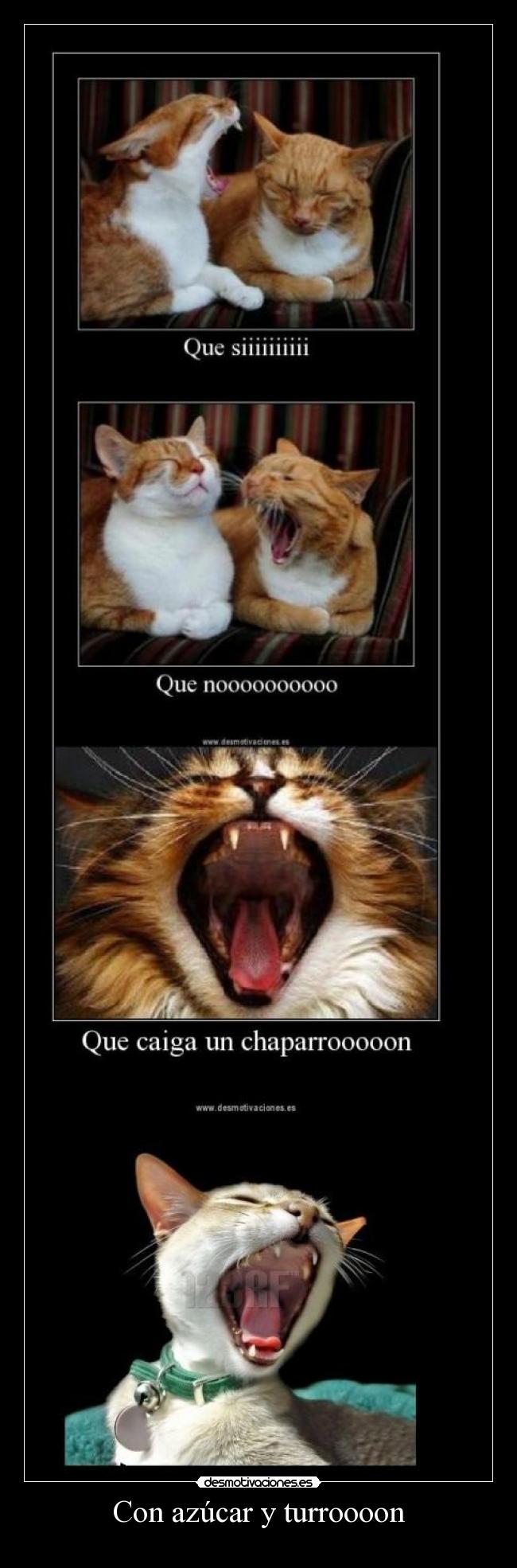 Con azúcar y turroooon - 