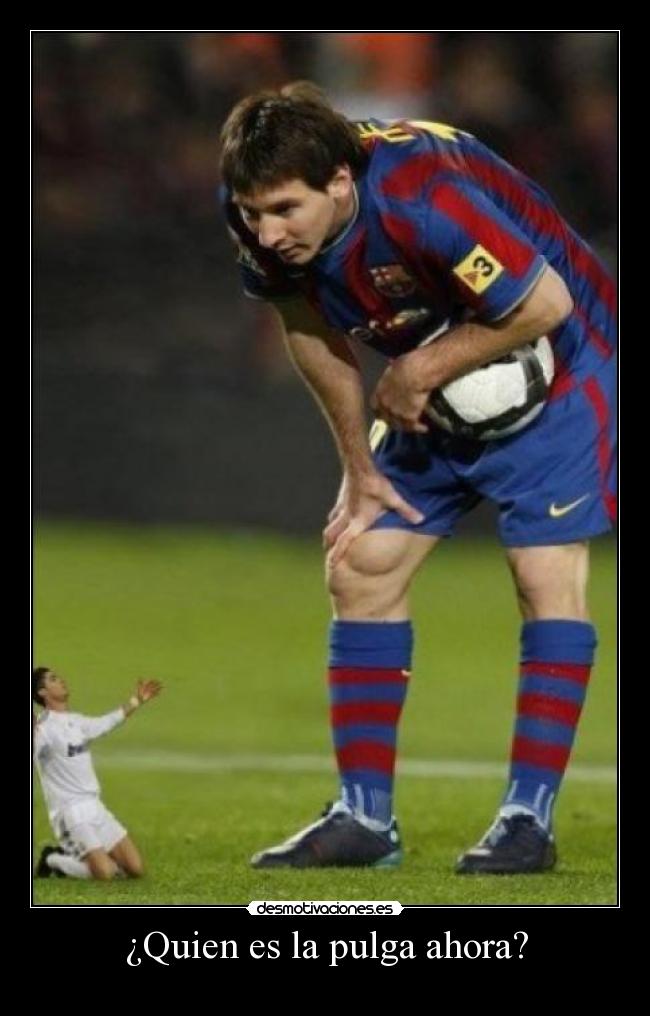 ¿Quien es la pulga ahora? -