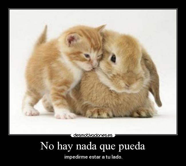 No hay nada que pueda - 