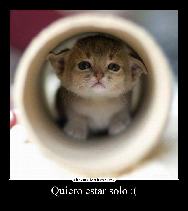 Quiero estar solo :( -