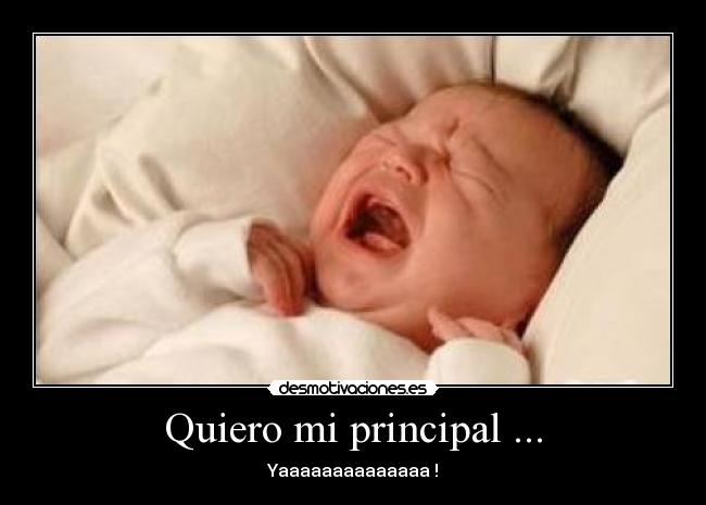 Quiero mi principal ... -