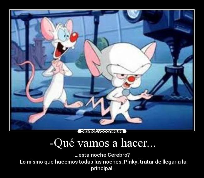 -Qué vamos a hacer... - ...esta noche Cerebro?
-Lo mismo que hacemos todas las noches, Pinky, tratar de llegar a la principal.