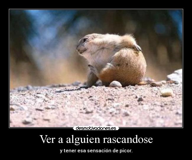 Ver a alguien rascandose - y tener esa sensación de picor.
