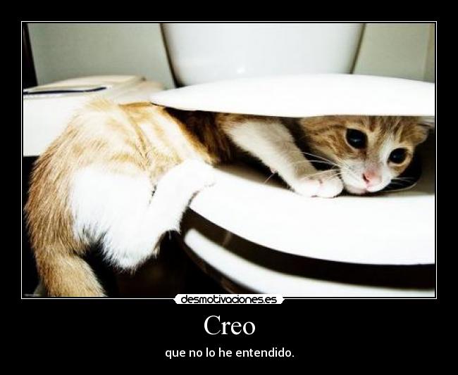 Creo - que no lo he entendido.