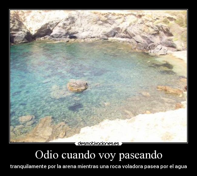Odio cuando voy paseando - tranquilamente por la arena mientras una roca voladora pasea por el agua