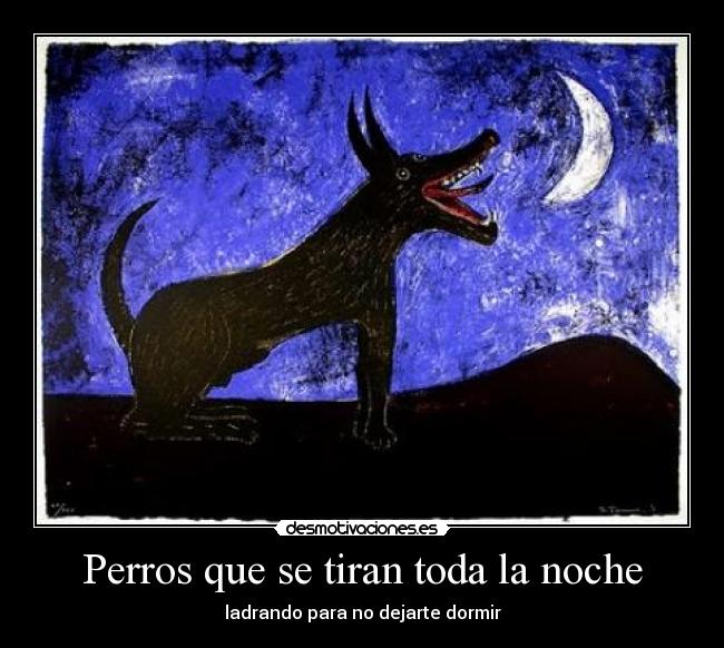 Perros que se tiran toda la noche - 