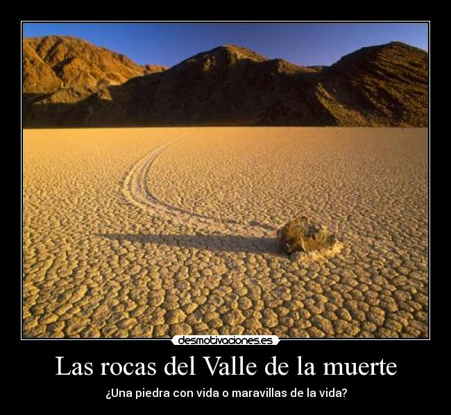 Las rocas del Valle de la muerte - ¿Una piedra con vida o maravillas de la vida?