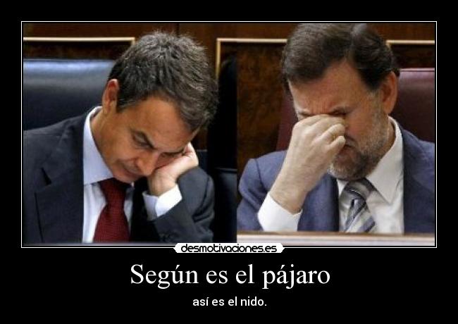 Según es el pájaro -