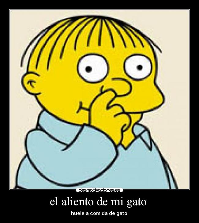 el aliento de mi gato  - huele a comida de gato 