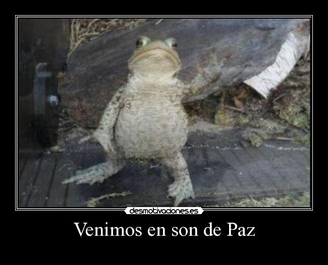 Venimos en son de Paz -