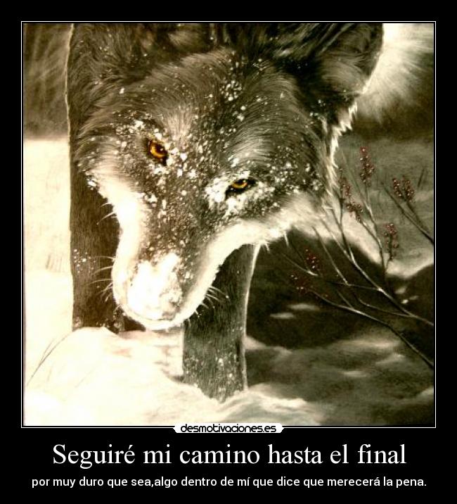 carteles seguire camino hasta final desmotivaciones