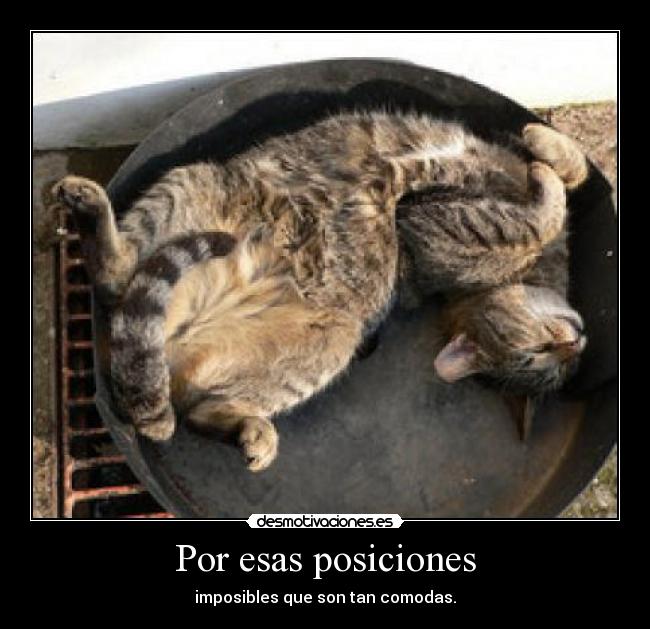 Por esas posiciones -