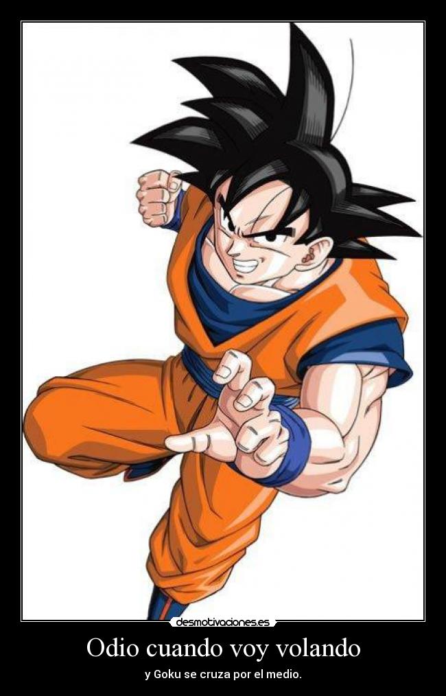 Odio cuando voy volando - y Goku se cruza por el medio.