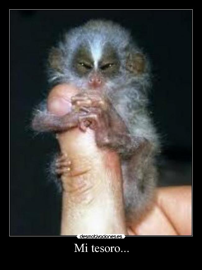 Mi tesoro... -