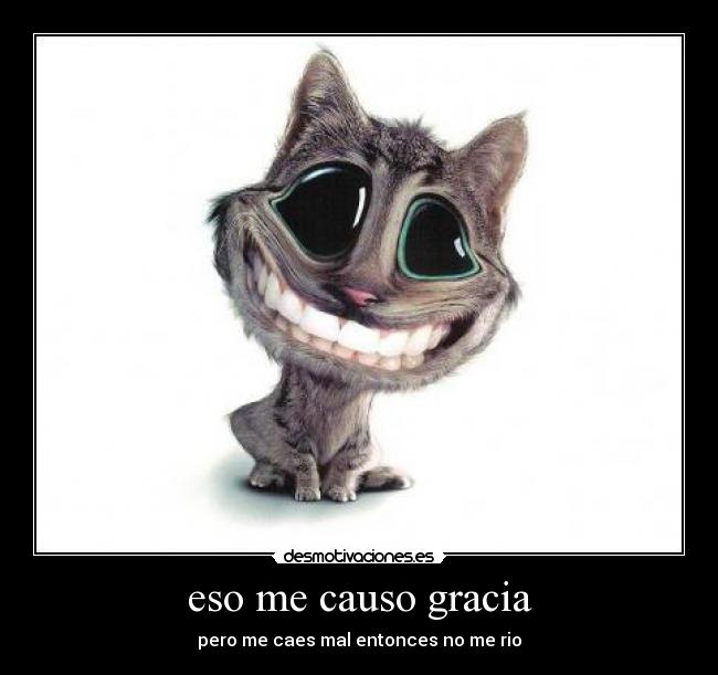 eso me causo gracia -