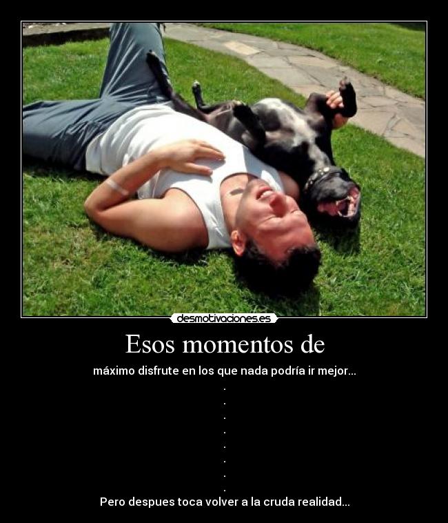 Esos momentos de - máximo disfrute en los que nada podría ir mejor...
.
.
.
.
.
.
.
.
Pero despues toca volver a la cruda realidad...