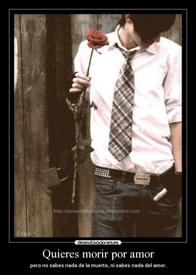 Quieres morir por amor - 