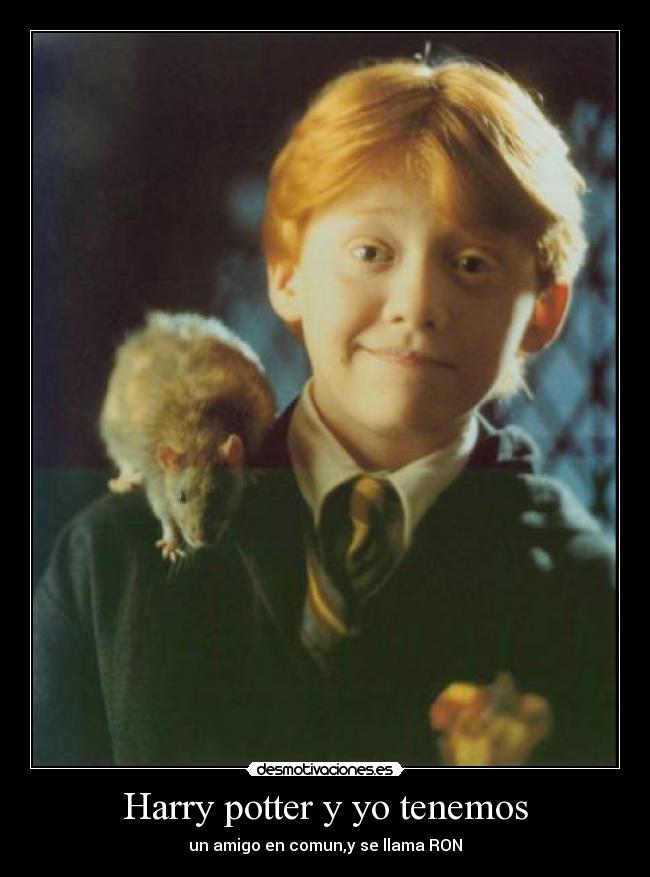 Harry potter y yo tenemos - 
