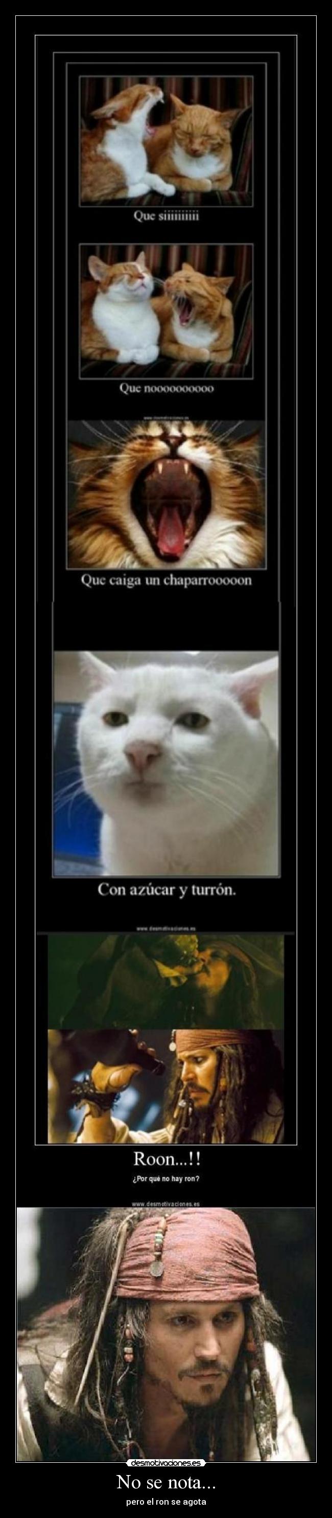 No se nota... - pero el ron se agota