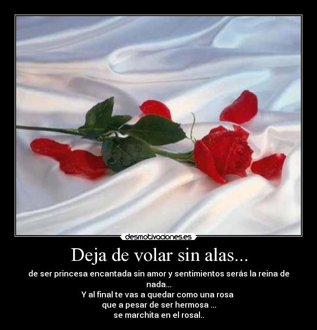 Deja de volar sin alas... -