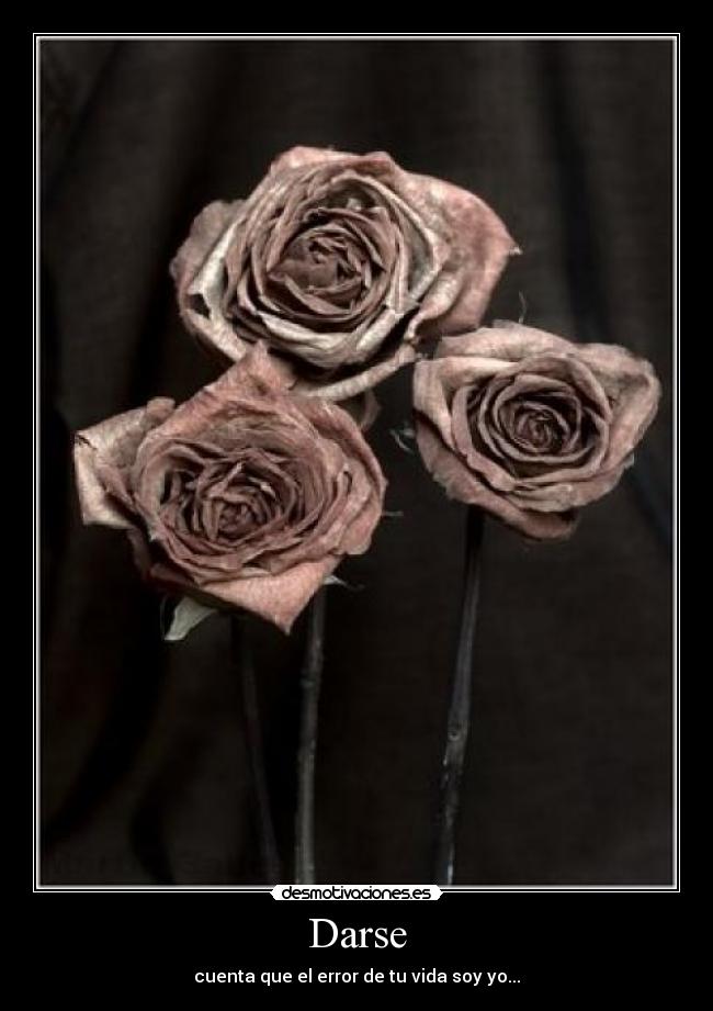 Darse - cuenta que el error de tu vida soy yo...
