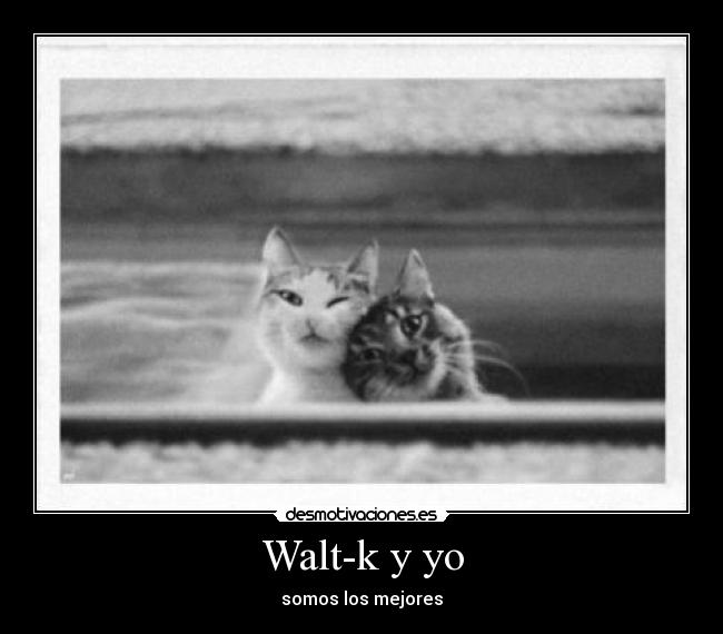 Walt-k y yo - 