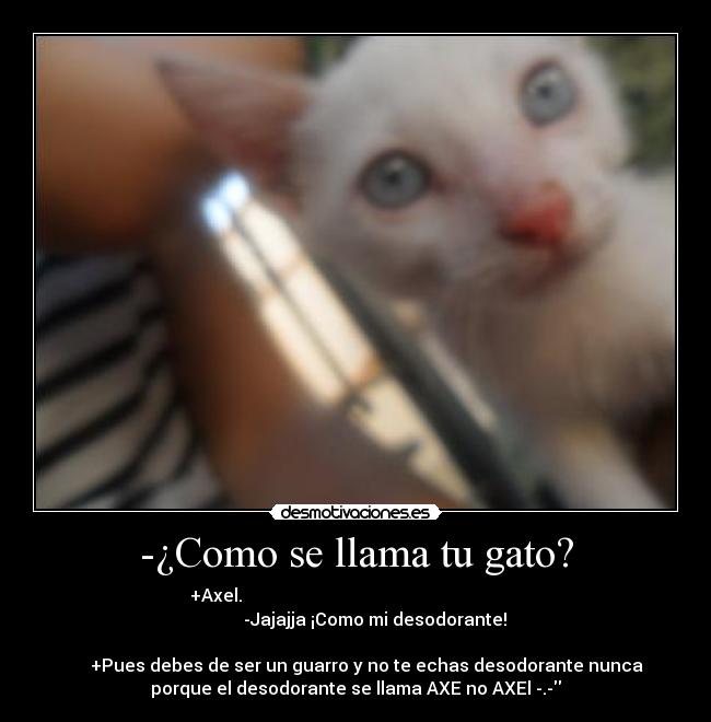 -¿Como se llama tu gato? -