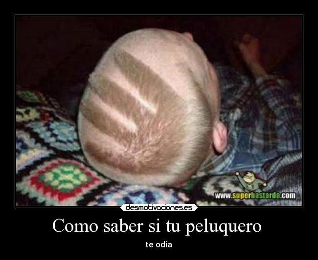 Como saber si tu peluquero  - 