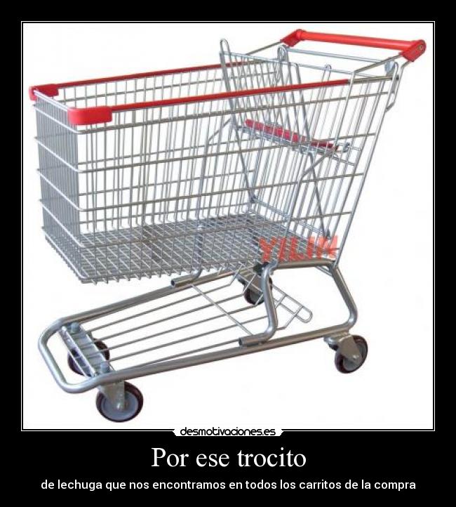 carteles lechuga desmotivaciones