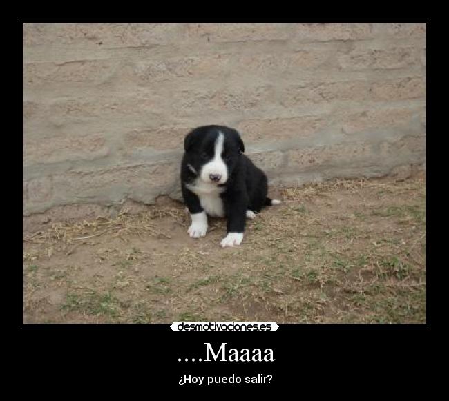 ....Maaaa - ¿Hoy puedo salir?