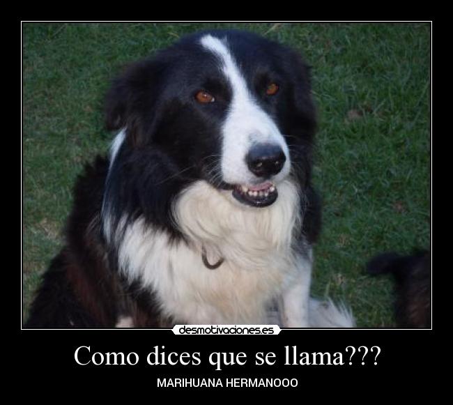 Como dices que se llama??? -