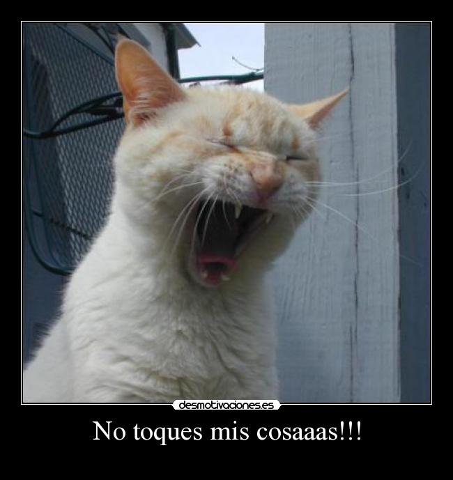 No toques mis cosaaas!!! - 