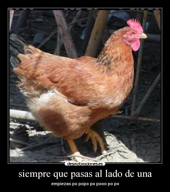 siempre que pasas al lado de una - 