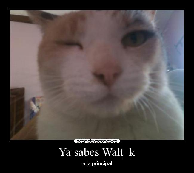 Ya sabes Walt_k -