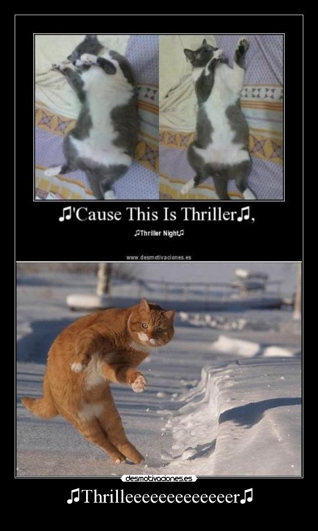 ♫Thrilleeeeeeeeeeeeer♫ -