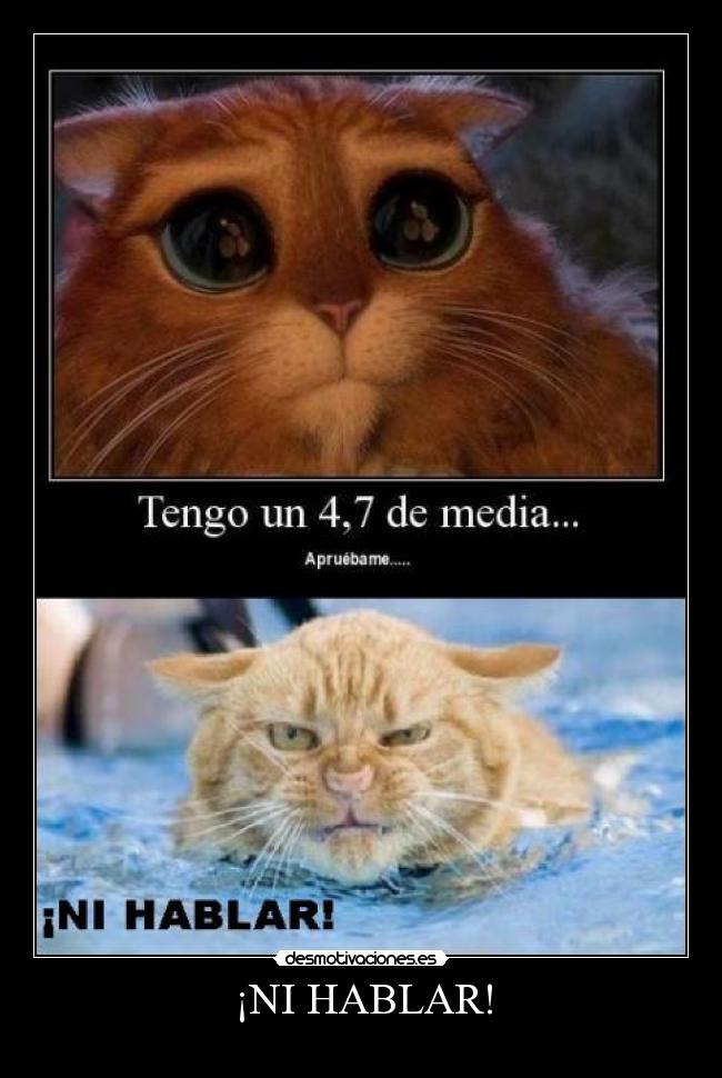 ¡NI HABLAR! -