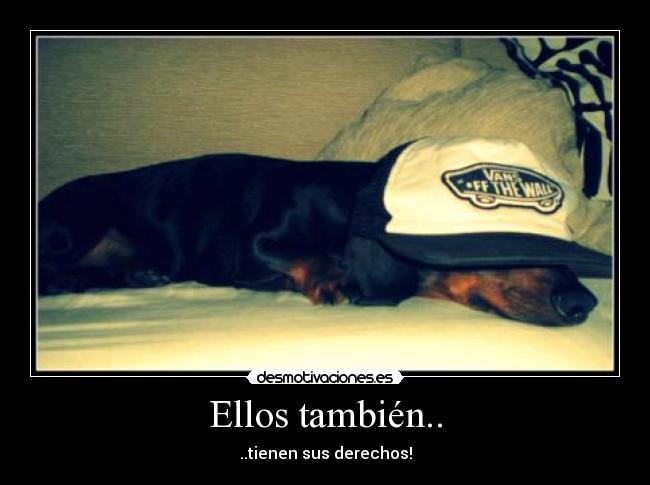 Ellos también.. - ..tienen sus derechos!
