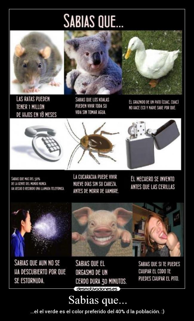 Sabias que... - ...el el verde es el color preferido del 40% d la población. :)