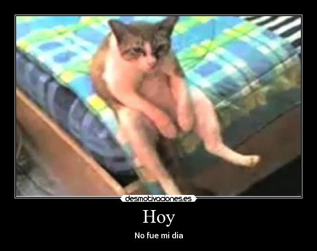 Hoy - No fue mi dia