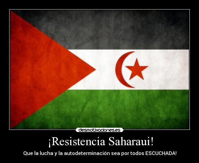 carteles sahara desmotivaciones